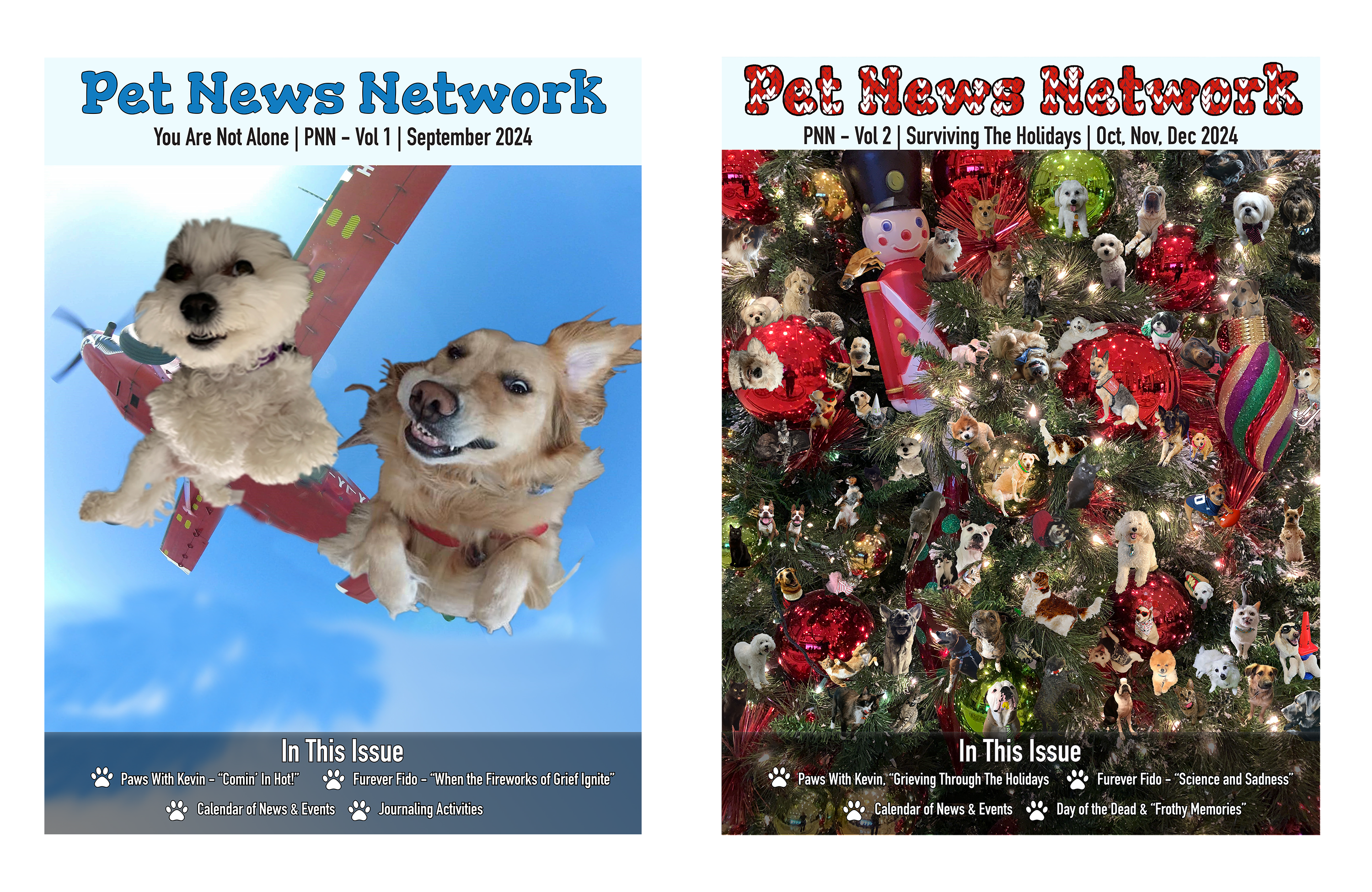 PNN Newsletter