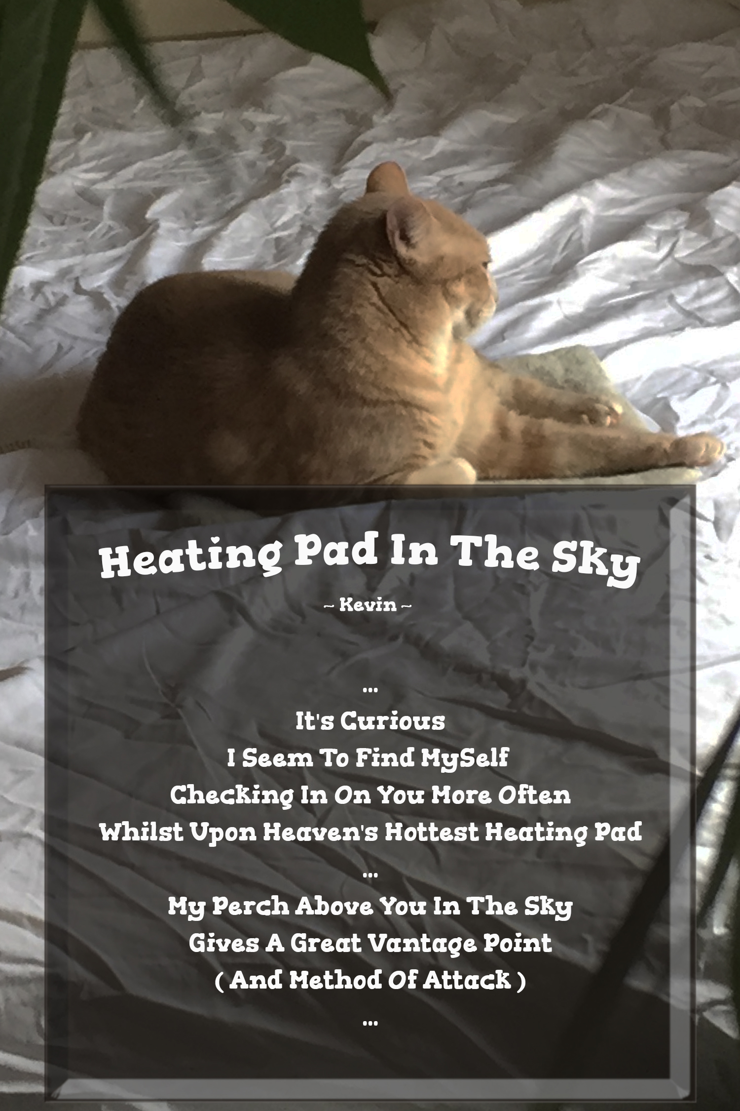 Heating Pad In The Sky